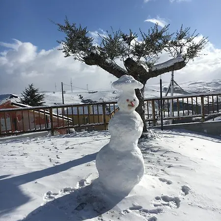 Santoro Holiday home *